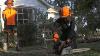 Chainsaw Safety Tips Stihl Interlink Training