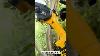 Chargeable Chainsaw Doesn T Need Fuel Or Something Else Chainsaws Stihlchainsaw Stihl Video