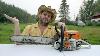 Farm Boss Vs Pro Chainsaw The Unexpected Differences Inside
