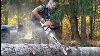 How To Buck Firewood With A Stihl Ms 362 What Bar