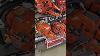 Jamestown New York Husqvarna 365 X Torq New Still On A Shelf Waiting For You At The Stihl