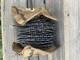 New Old StockStihl Chain Saw Chain Oilmatic Rapid 3/8.050 Partial 78 1/2 Feet
