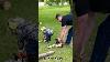 Starting Our Stihls Together Stihl Ms 210c Vs Toy Stihl Chainsaw Waylonsworld Stihl Shorts