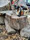 Stihl MS 200-T 1/4 Pitch Chainsaw