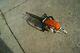 Stihl Ms291 Gas Powered Chain Saw We Ship Only To East Coast