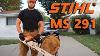 Stihl Ms 291 Overview Review
