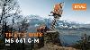 Stihl Ms 661 C M A Chainsaw Full Of Cutting Edge Technologies That S Why