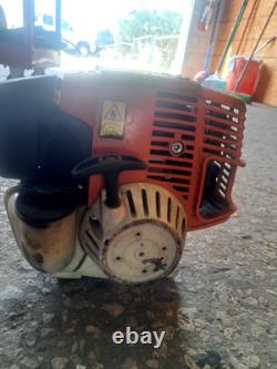 Stihl pole saw