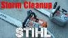 Storm Cleanup Stihl Chainsaws Ms311 Ms201