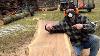 Turning A Walnut Log Into Priceless Slabs Chainsaw Milling Start To Finish Stihl Ms 881